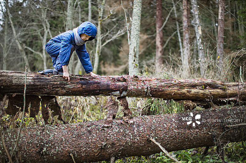 小男孩爬树图片素材