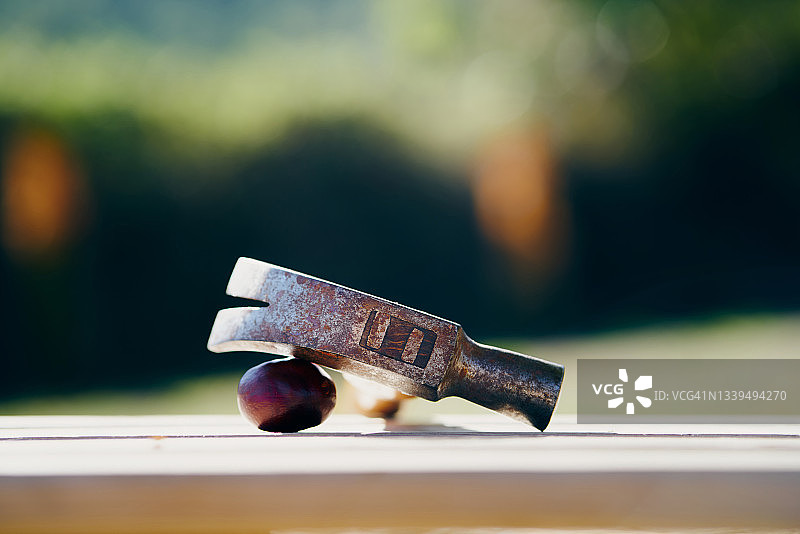 工作工具侧视图锤子物体（白天，无人）图片素材