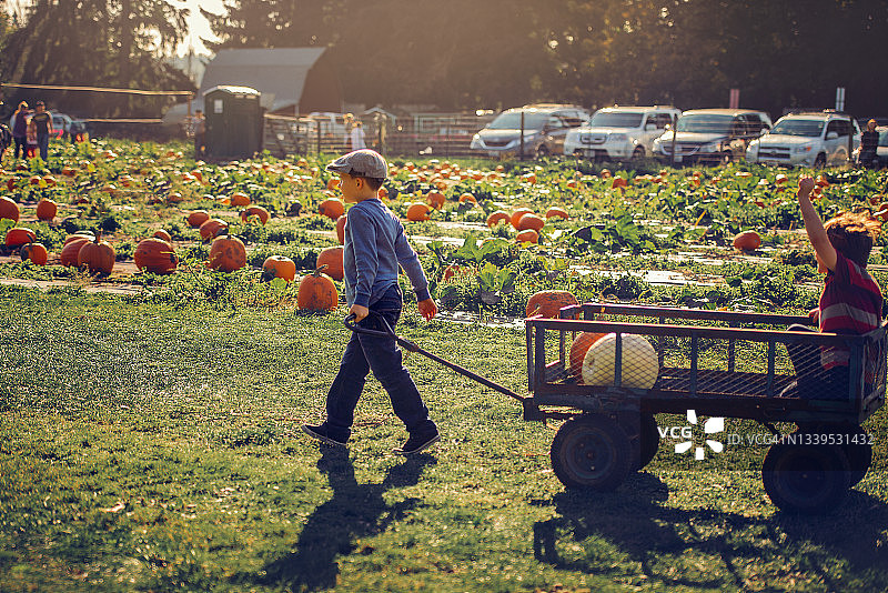 南瓜地里的孩子们图片素材