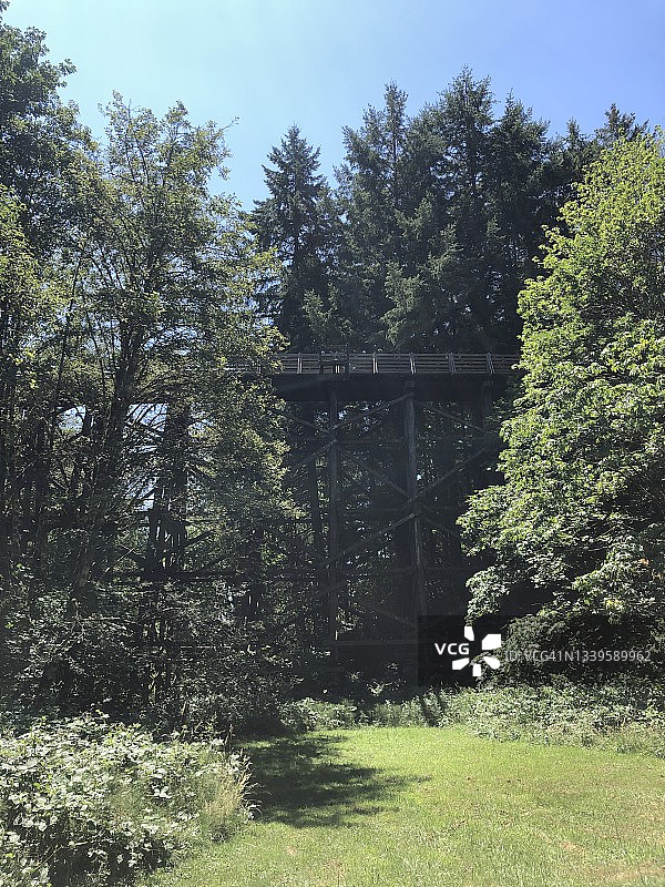 改造成自行车道的旧铁路桥（仰视角度）图片素材