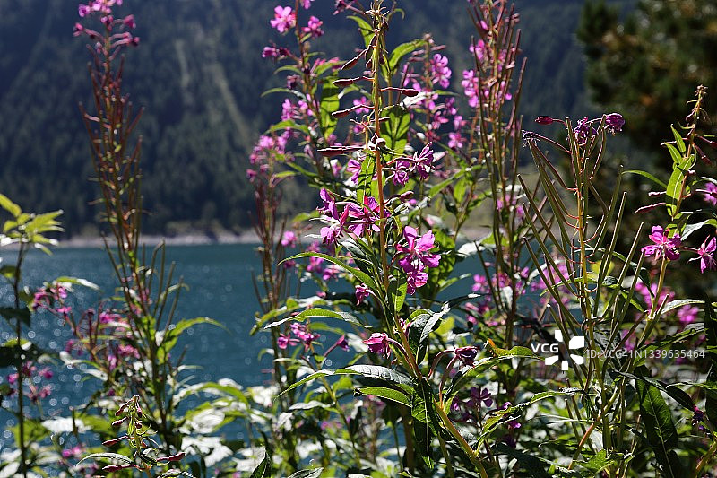 南蒂罗尔图片素材