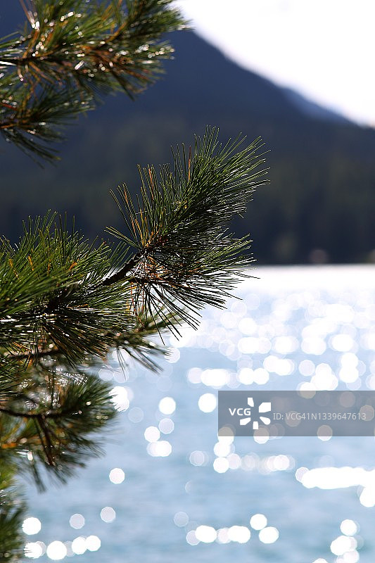 南蒂罗尔图片素材