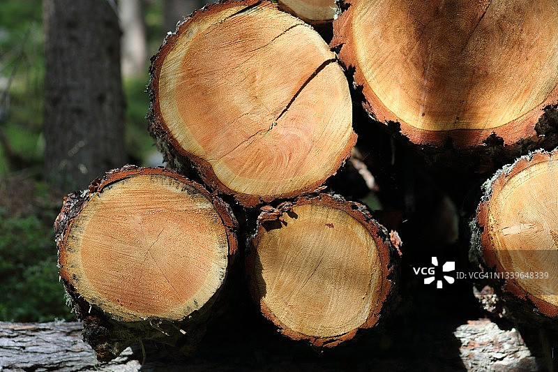 南蒂罗尔图片素材