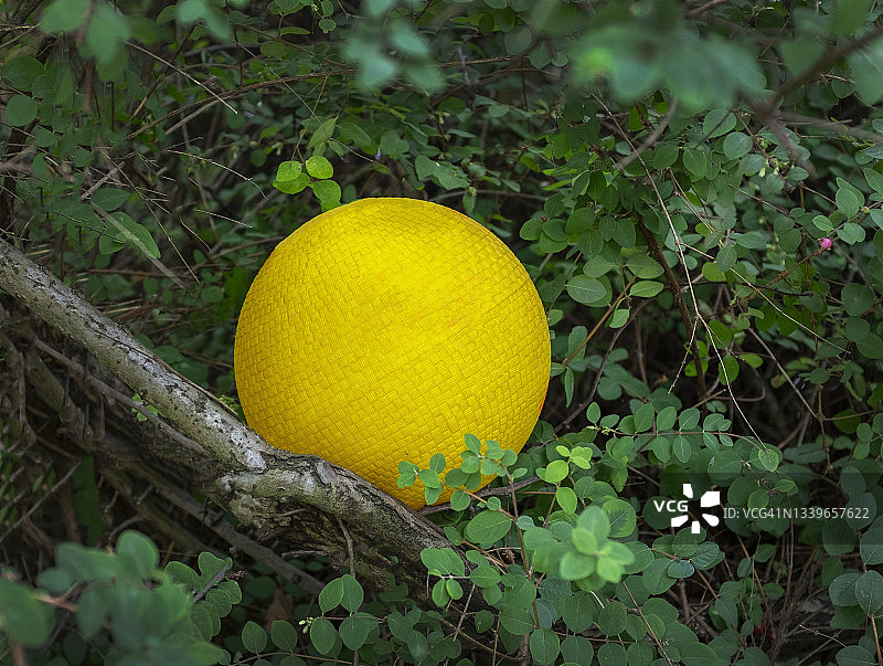 被遗弃的黄色球图片素材