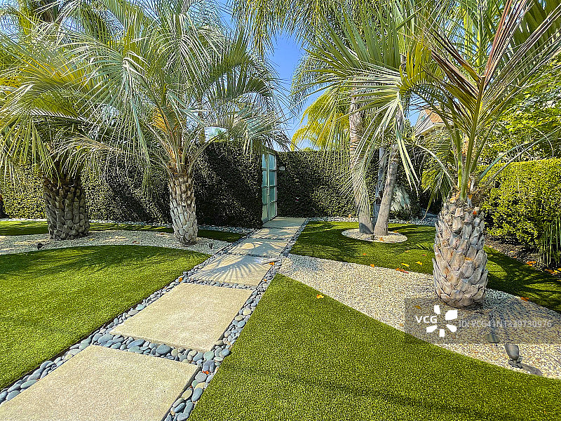 希尔兹堡住宅区的步道、草坪和棕榈树图片素材