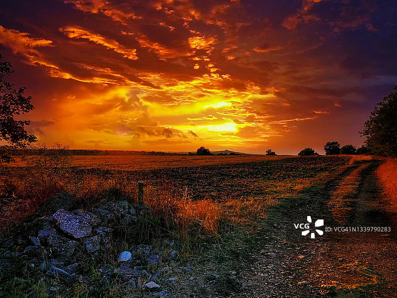 我喜欢的方式图片素材