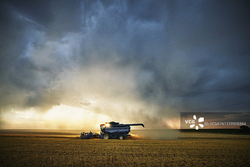 夏季傍晚暴风雨云层背景下联合收割机收割小麦图片素材