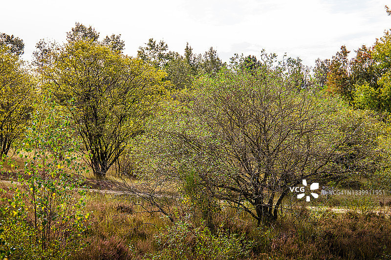 霍格·肯彭国家公园图片素材