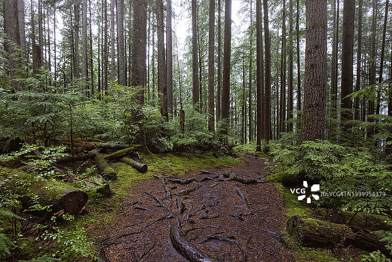 加拿大BC省米逊罗利湖省立公园图片素材