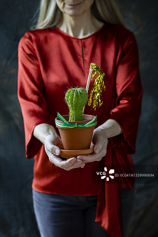圣诞仙人掌图片素材