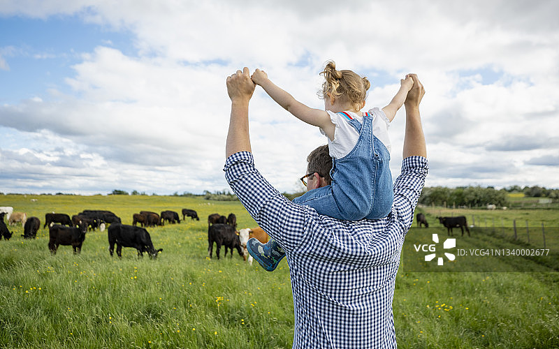 农场乐趣图片素材