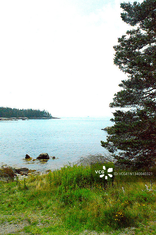 缅因州阿卡迪亚国家公园的斯库迪克半岛图片素材