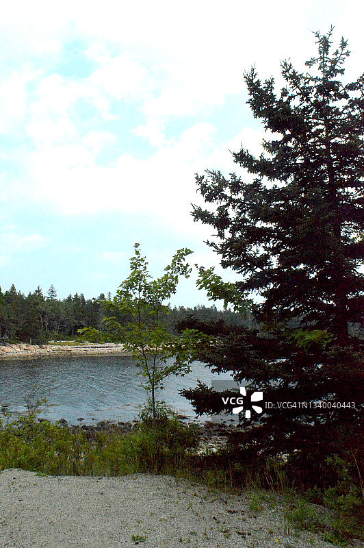 缅因州阿卡迪亚国家公园的斯库迪克半岛图片素材