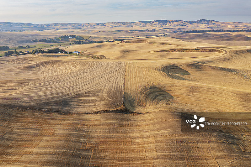 收割后的麦田航拍景观图片素材