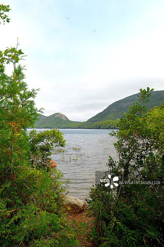 缅因州阿卡迪亚国家公园沙漠山岛乔丹池塘图片素材