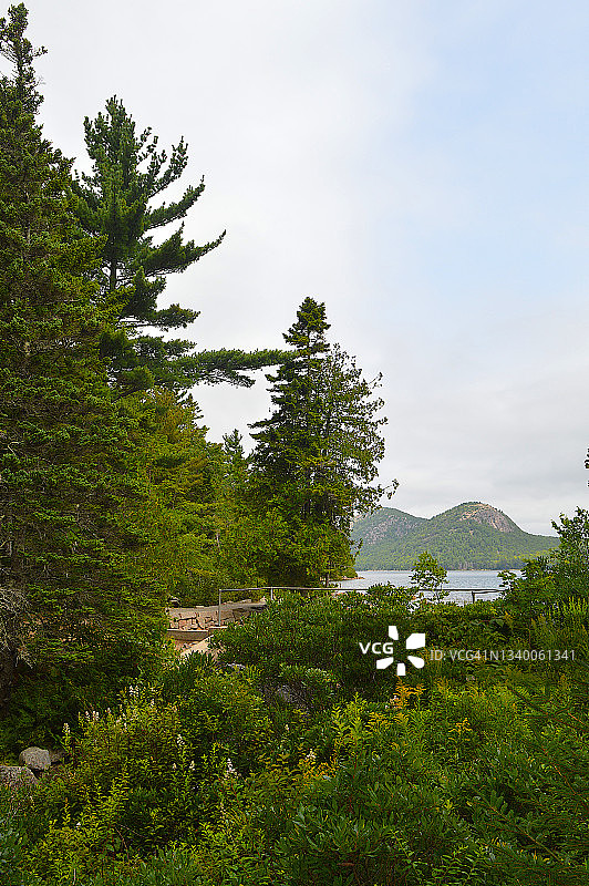 缅因州阿卡迪亚国家公园沙漠山岛乔丹池塘图片素材