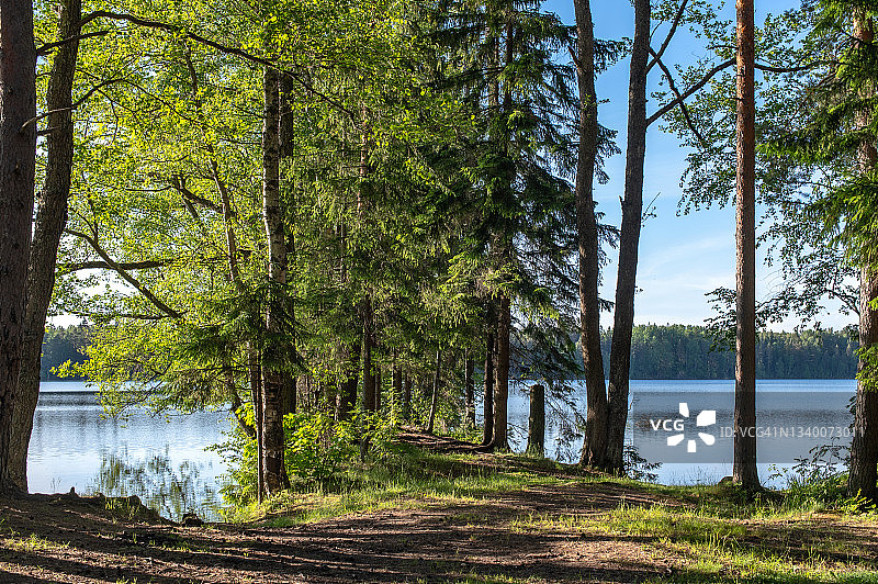 夏日傍晚的森林湖图片素材