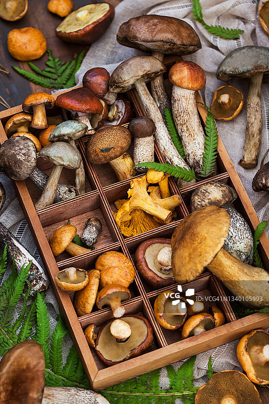 木箱里的新鲜野生蘑菇图片素材