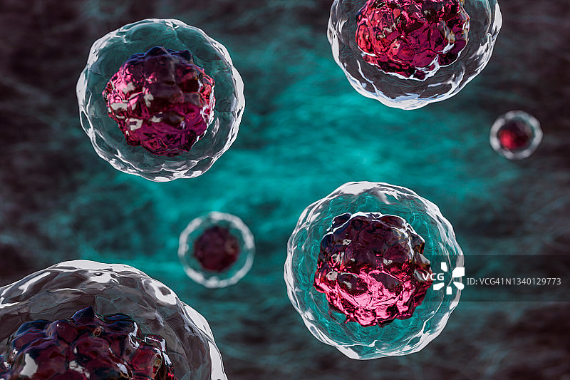 放大的人体原始材料，干细胞图片素材