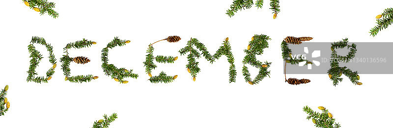 由云杉和松果枝制成的“十二月”字样图片素材