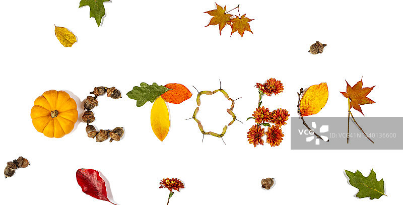 由橡子、南瓜、鲜花和树叶组成的“十月”一词图片素材