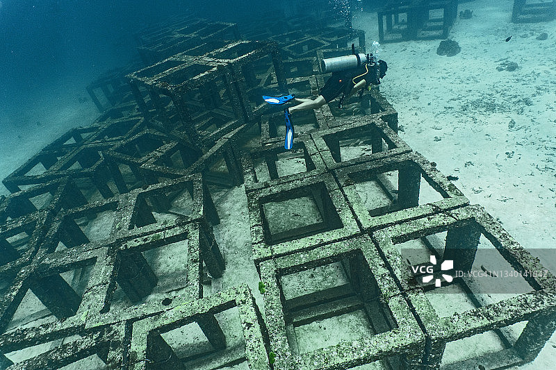 潜水员在普吉岛海底探索人工珊瑚礁图片素材