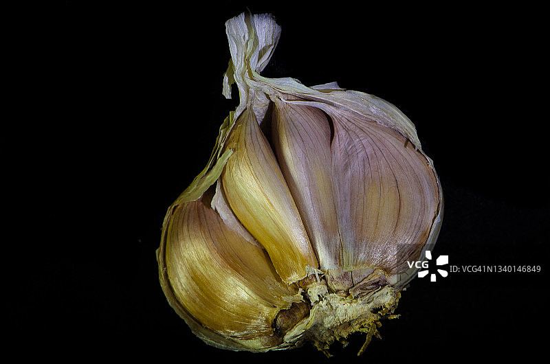 黑色背景上的丁香蒜图片素材