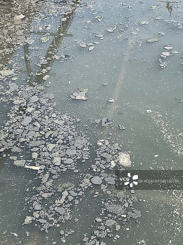 漂浮的污染物和藻类图片素材