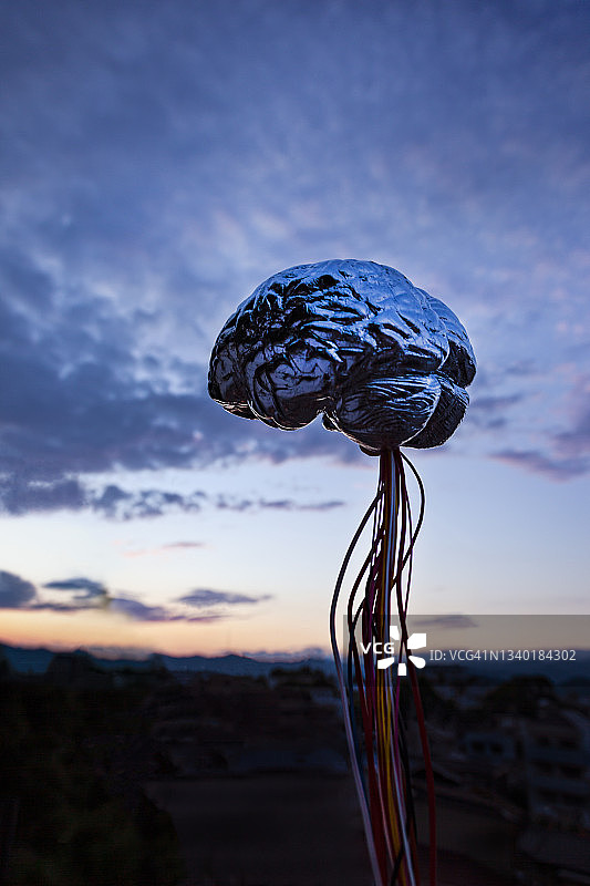 暮色中的人造大脑图片素材