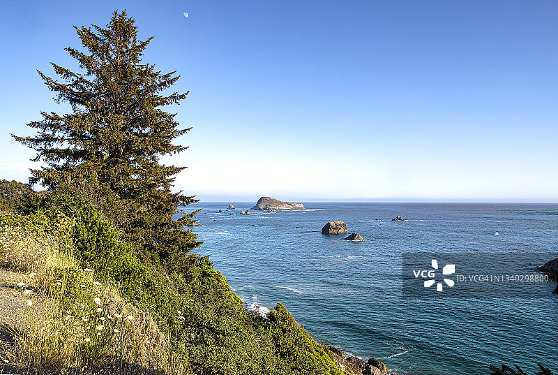 有月亮的太平洋海岸线图片素材