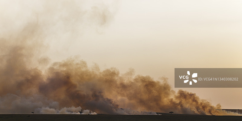 肯尼亚马赛马拉保护区控制燃烧产生的烟雾图片素材