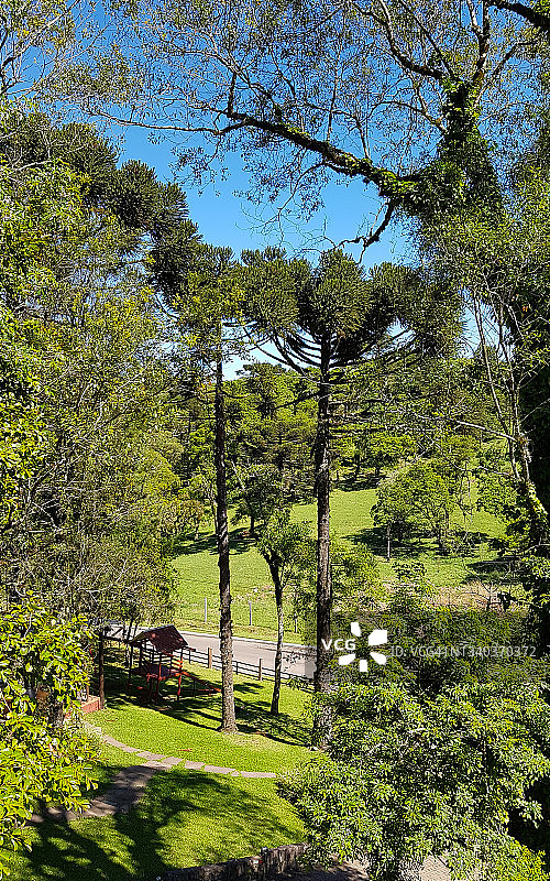 巴西南部格拉玛多附近的乡村地区图片素材