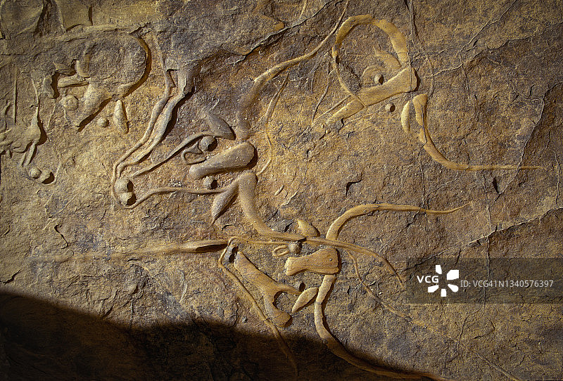 塔曼拉塞特，塔西利阿杰尔国家公园，阿尔及利亚，撒哈拉，非洲图片素材