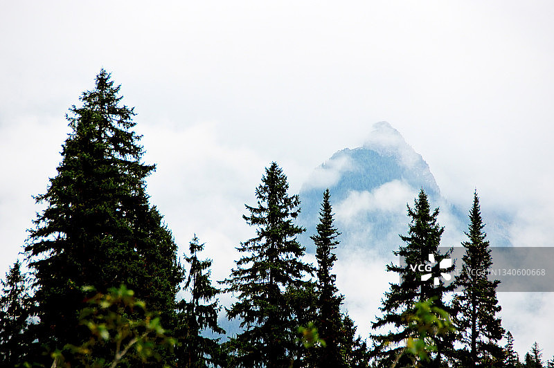 落基山脉森林图片素材