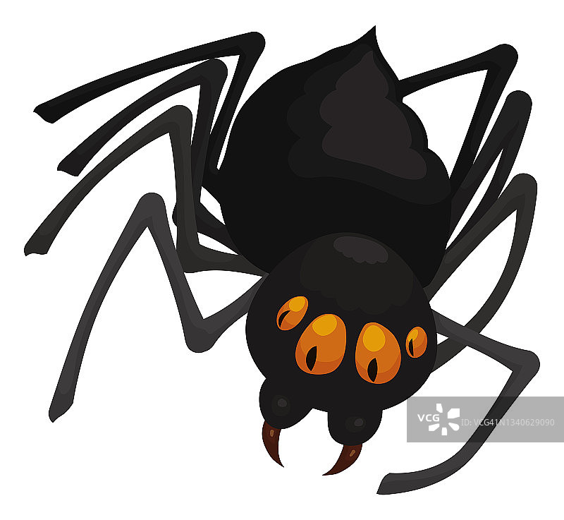 带大毒牙和橙色眼睛的黑色蜘蛛图片素材