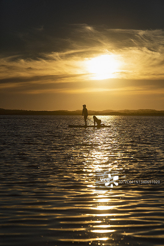 母子在澳大利亚维多利亚州宁静的日落海面上划桨板图片素材