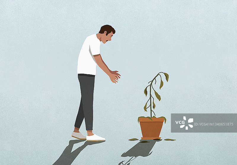 低头看着枯萎盆栽的惊讶男人图片素材