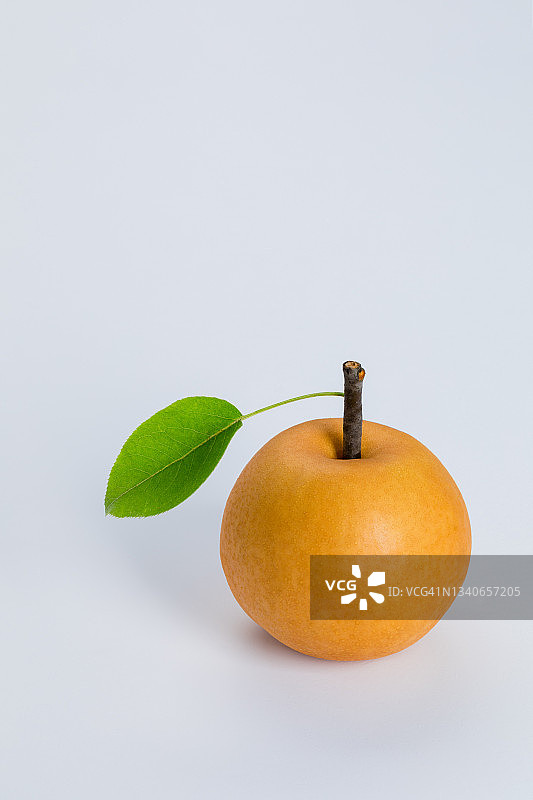 亚洲梨图片素材