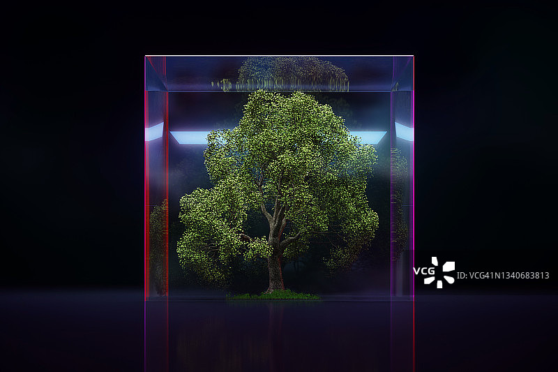 生态系统图片素材