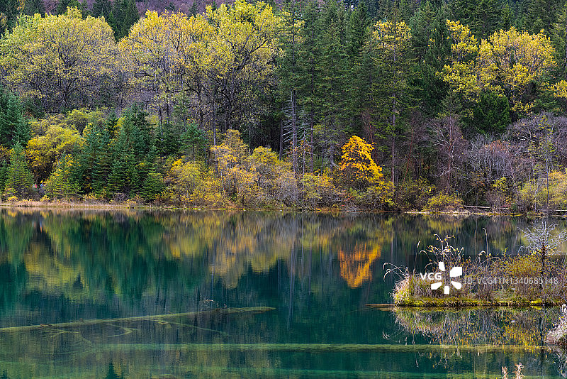 风景如画的林木山脉和五花海的壮丽景色图片素材