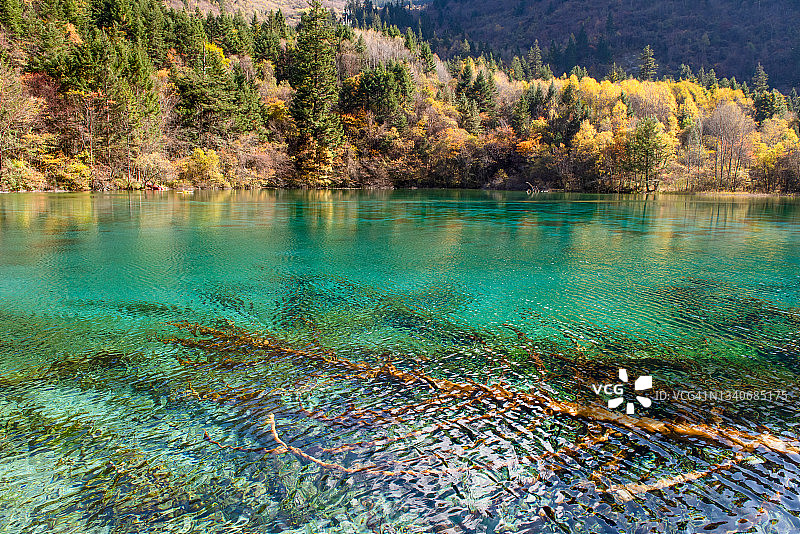 风景如画的林木山脉和五花海的壮丽景色图片素材