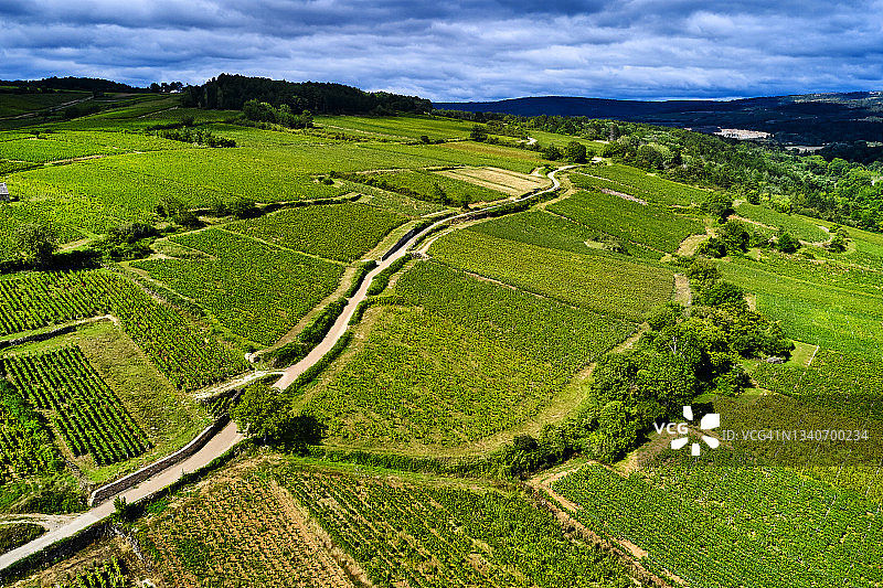 法国勃艮第葡萄园图片素材