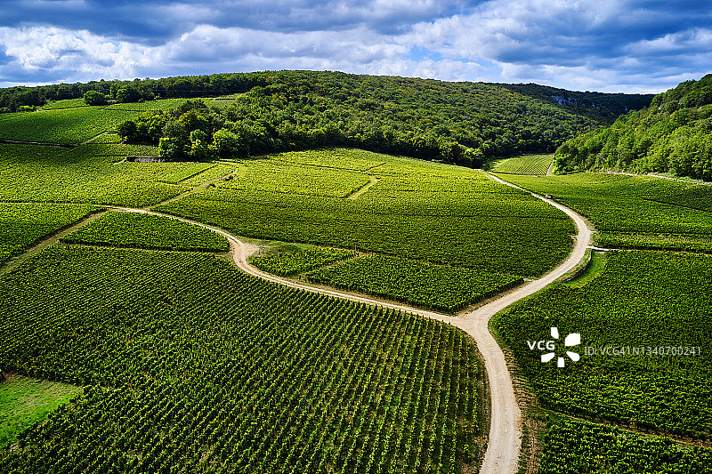 法国勃艮第葡萄园图片素材