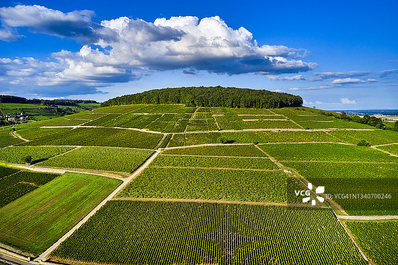 法国勃艮第葡萄园图片素材