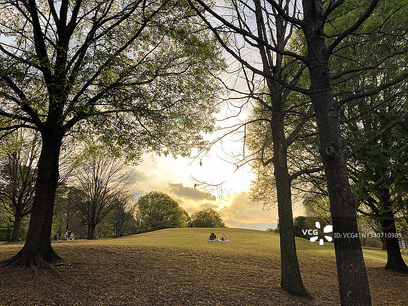 宁静日落，繁花围绕图片素材