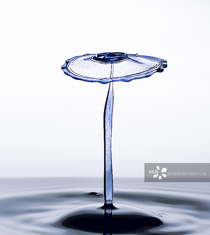 蓝色水滴（水蘑菇）在白色背景上的碰撞图片素材