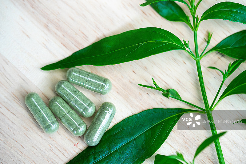 穿心莲：停止新冠疫情的替代药物概念图片素材