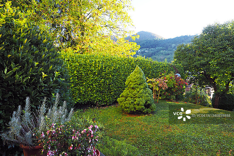 带花盆的后花园一角图片素材