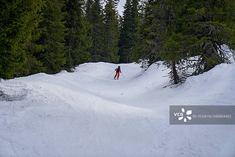 女孩在林中滑雪，冬季运动，天空背景，徒步旅行图片素材