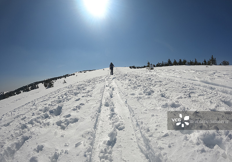 独自的男人在罗马尼亚特兰西瓦尼亚冬季的森林小路上滑雪旅行图片素材